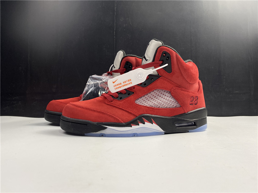 Air Jordan 5 